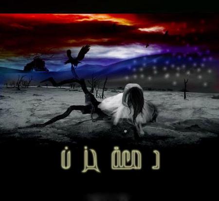 (tk)�� ��� ������ ����� ������