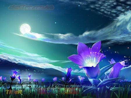 (tk)�� ��� ������ ����� ������