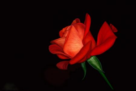 (tk)�� ��� ���� �� ���� �� ��