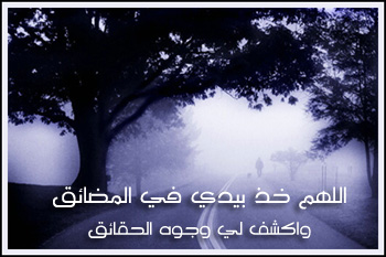 (tk)��� ���� ���� ���� ����� ������