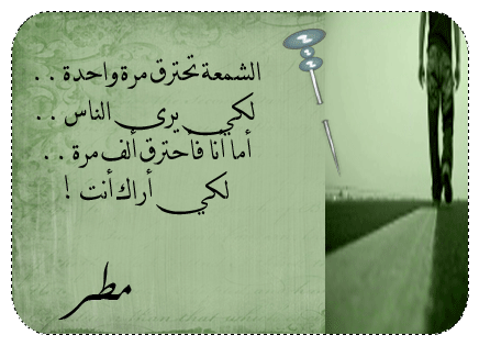 (tk)������� ����� �� ���� �� ���� ������