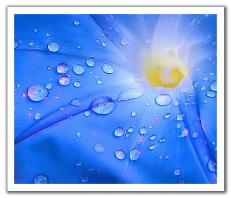 (tk)���� ����� �� ����� ����� ��� ����� �� ��� ������