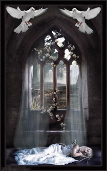 (tk)�� ��� ���� ��� ����� ������