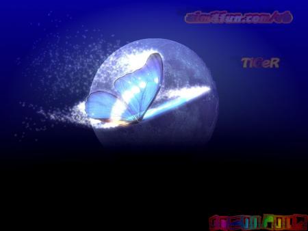  �� ��� ������ ����� ������