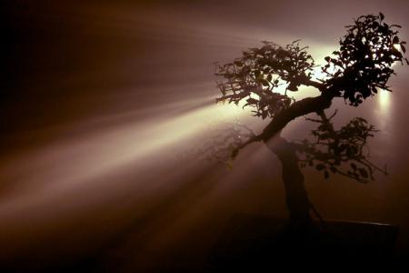  �� ��� �� ���� �� ��� ������ ...�� �����