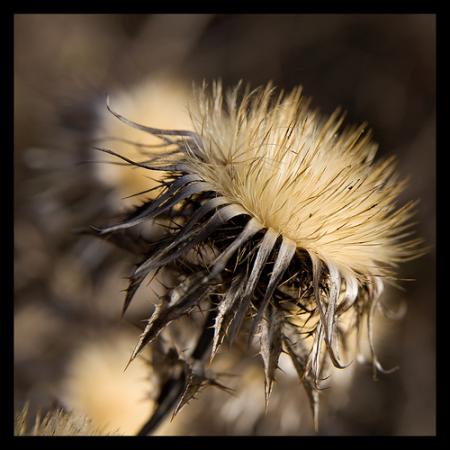 you  will never know what you can do, just TRY