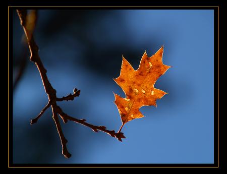 Be great in act, as you have been in thought.