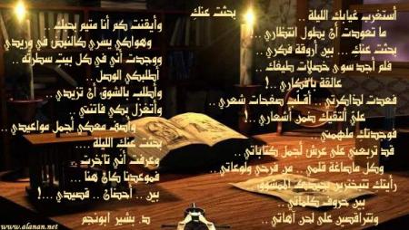 (tk) ��������