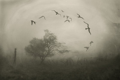 الــبكــاء وطــن من لا وطن له(tk)