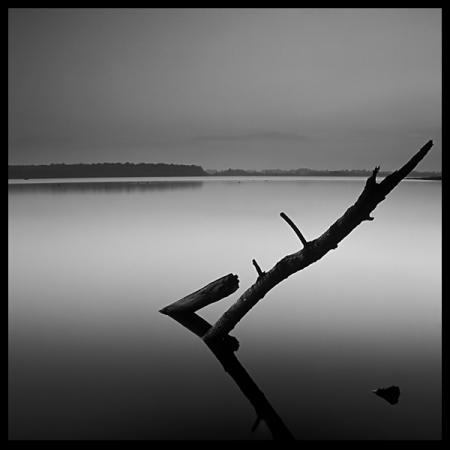 لم يعد أمامنا غير كل شيء(tk)