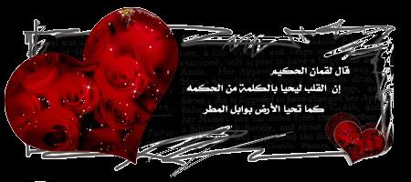 صمتك يوقظ الليل، دعه ينام