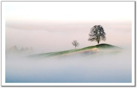 If you ever feel lost..just follow the path of your heart