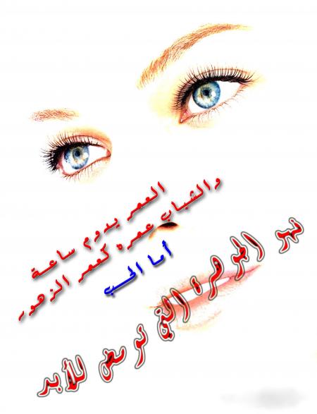 (tk) ����� �����