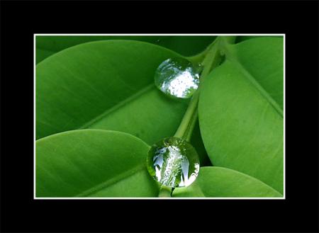 (tk)��� ���� ��� ����� ����� ������ �������