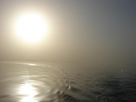 ��� ���Կ(tk)