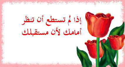 ���� ������ �� �� ���� �� ���� �� ������(tk)