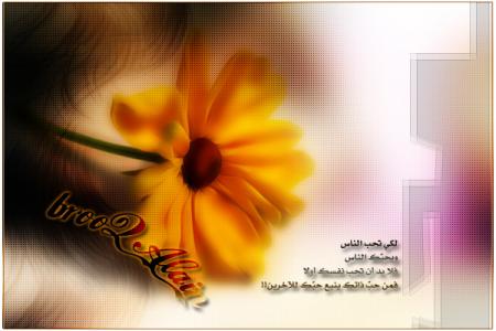 (tk) Do not weep; do not wax indignant. Understand.